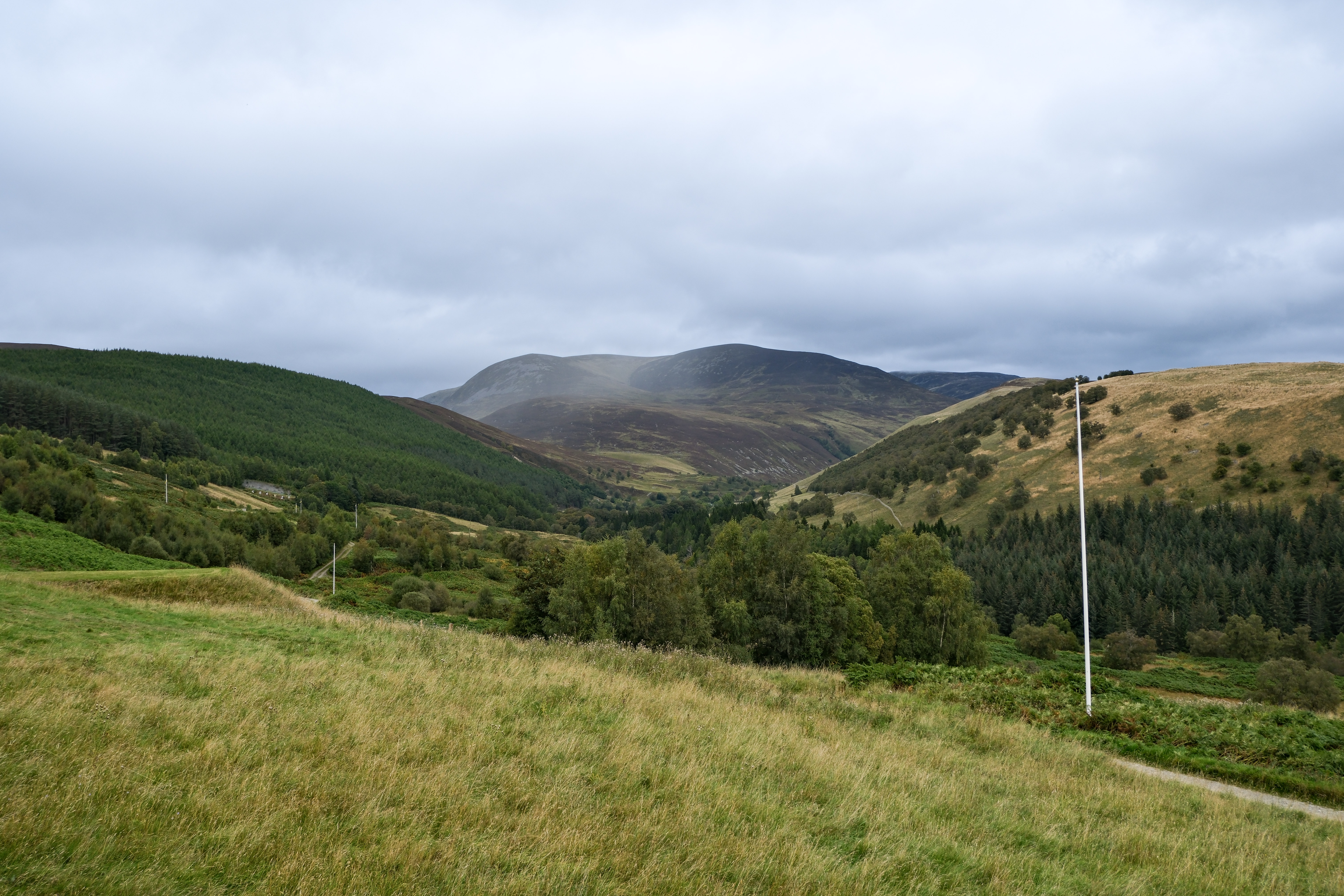 DSCF1451.jpg