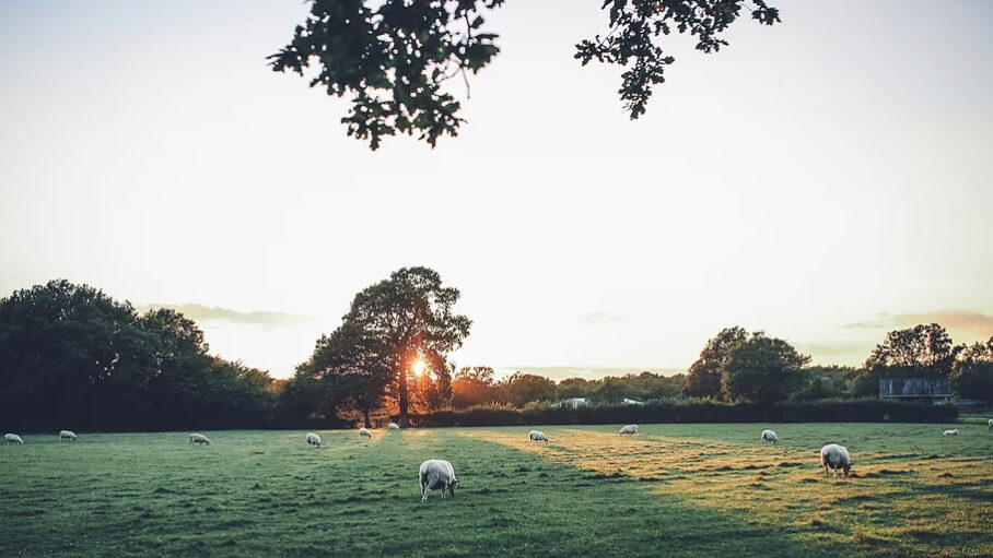 green park fitness retreat