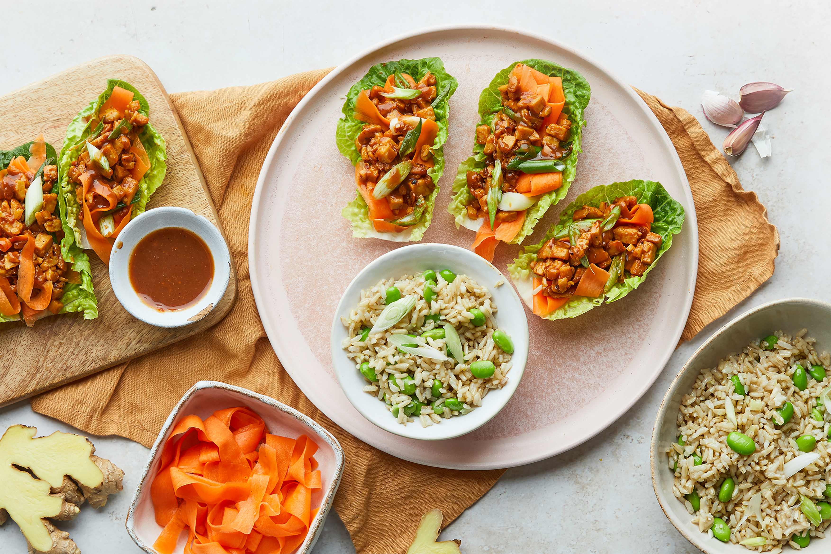 Hoisin Tempeh Mince, Pickled Carrot & Ginger Rice